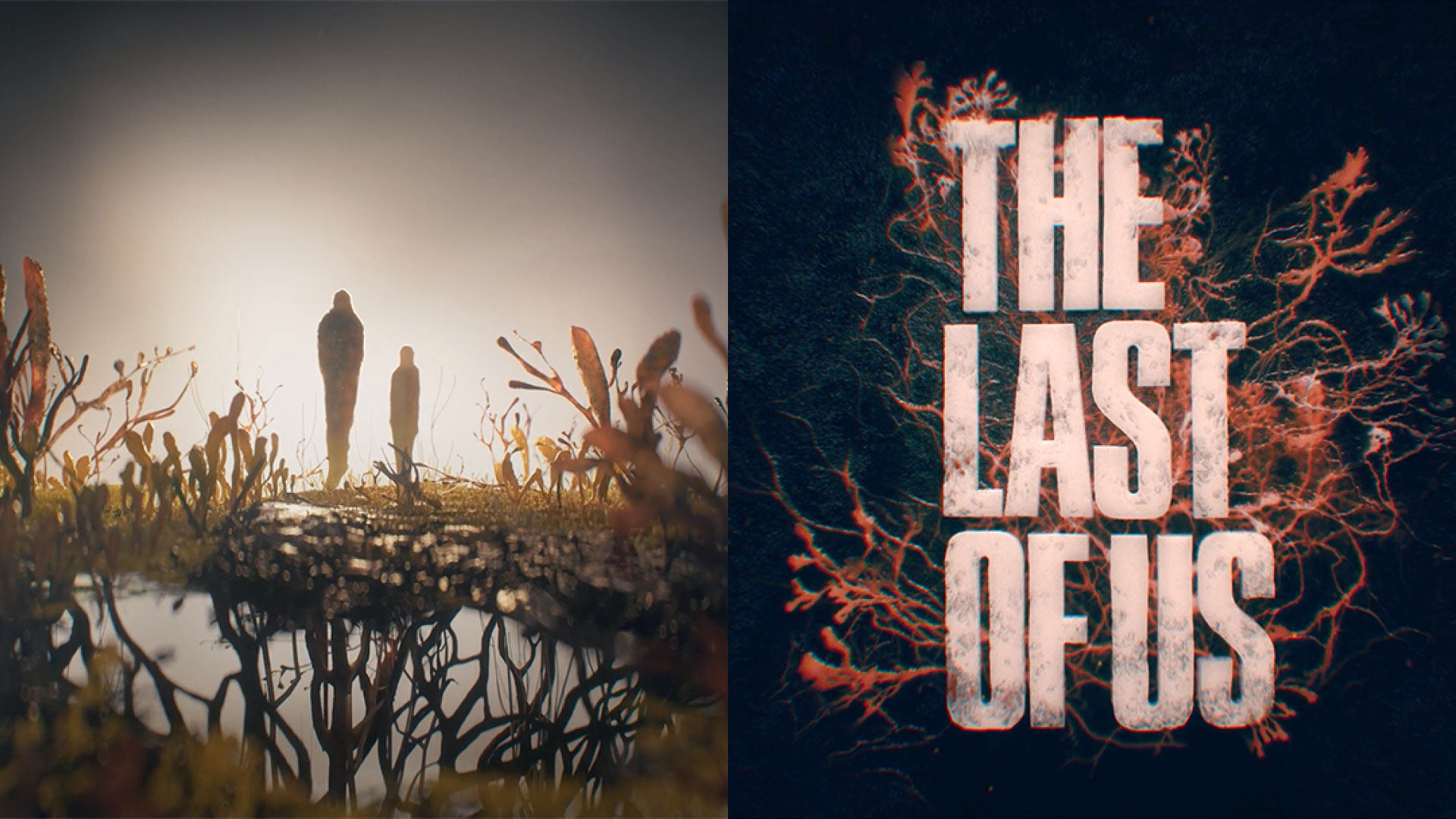 How Elastic created the title sequence for the Last of Us