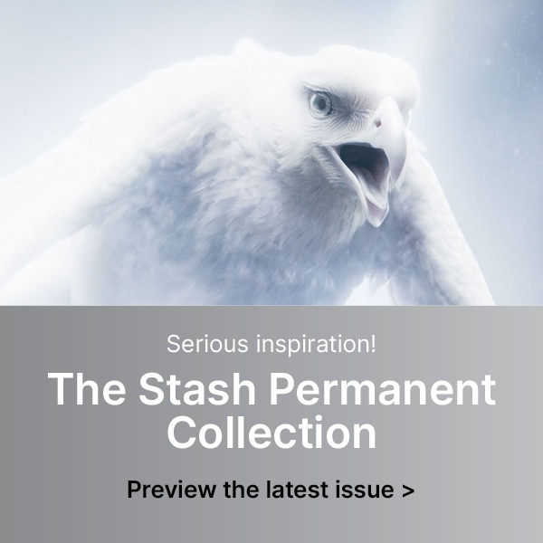 Serious Inspiration! The Stash Permanent Collection - Preview the latest issue