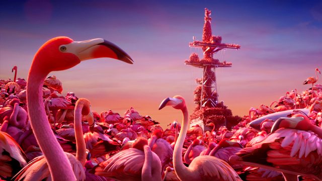 Peace-Seeking Flamingos Go to War in 
