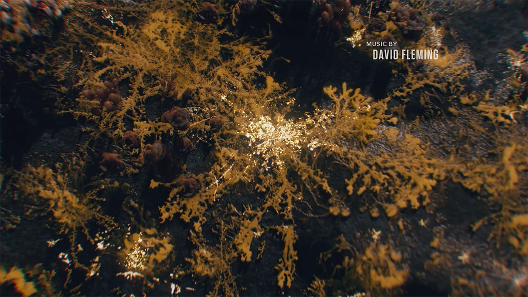 The Last of Us, Opening Credits
