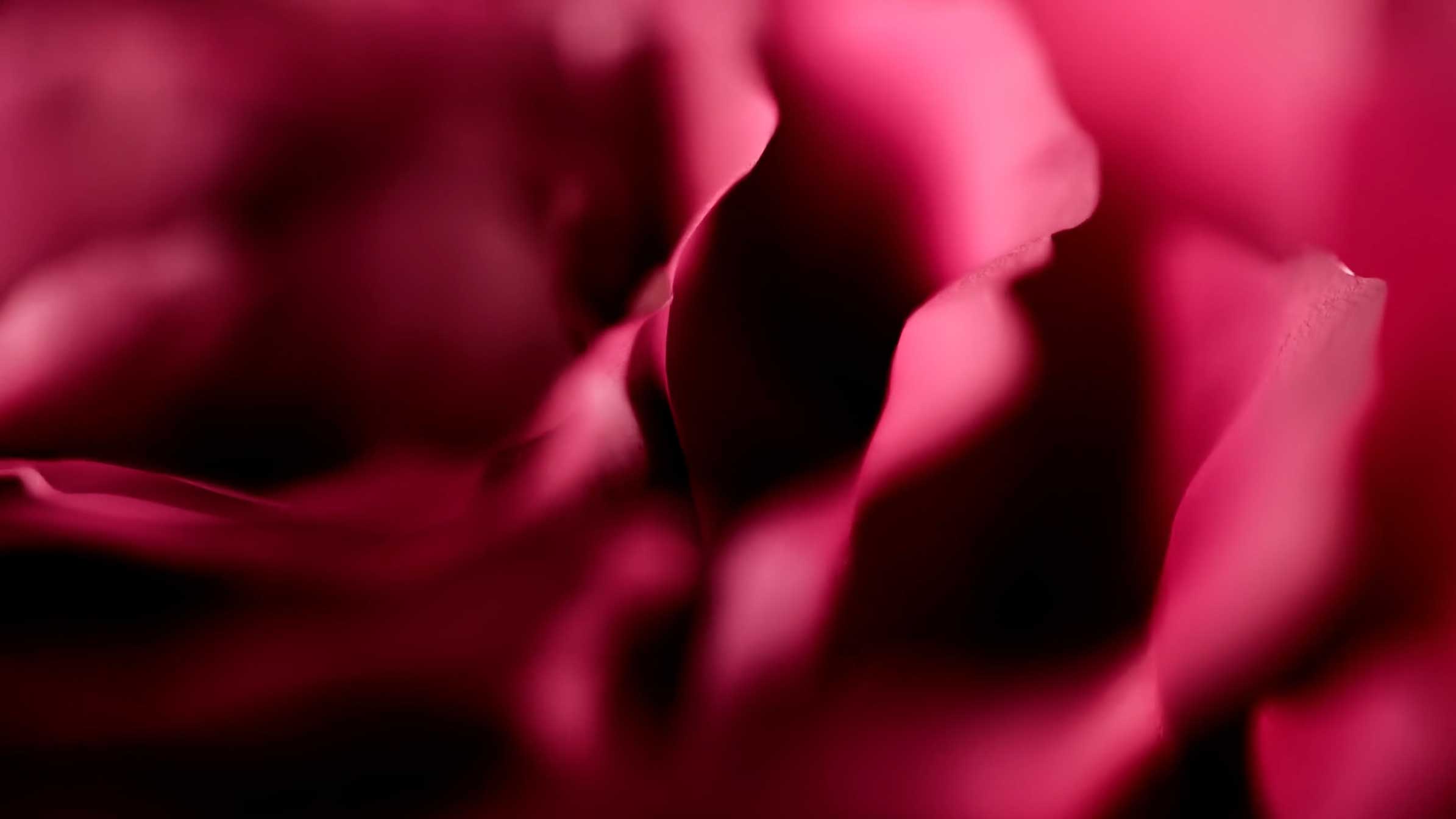 Ralph Lauren Fragrances Romance Elixir video by Found Studio | STASH MAGAZINE