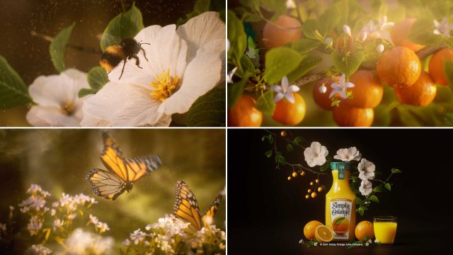 Is This the Most Beautiful Orange Juice Ad Ever?