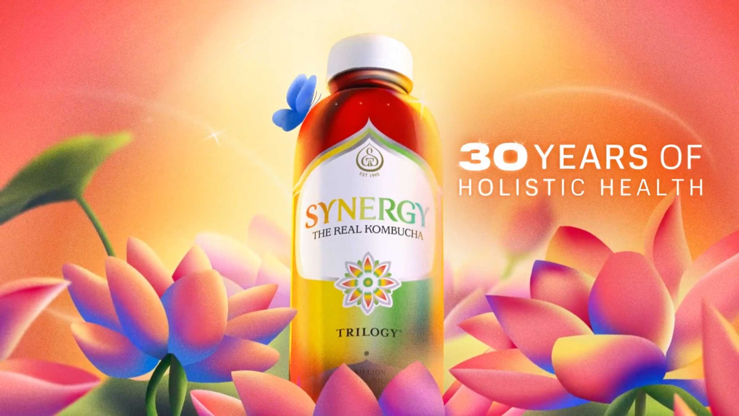 Synergy Bambucha 30th Anniversary brand film by Scholar | STASH MAGAZINE