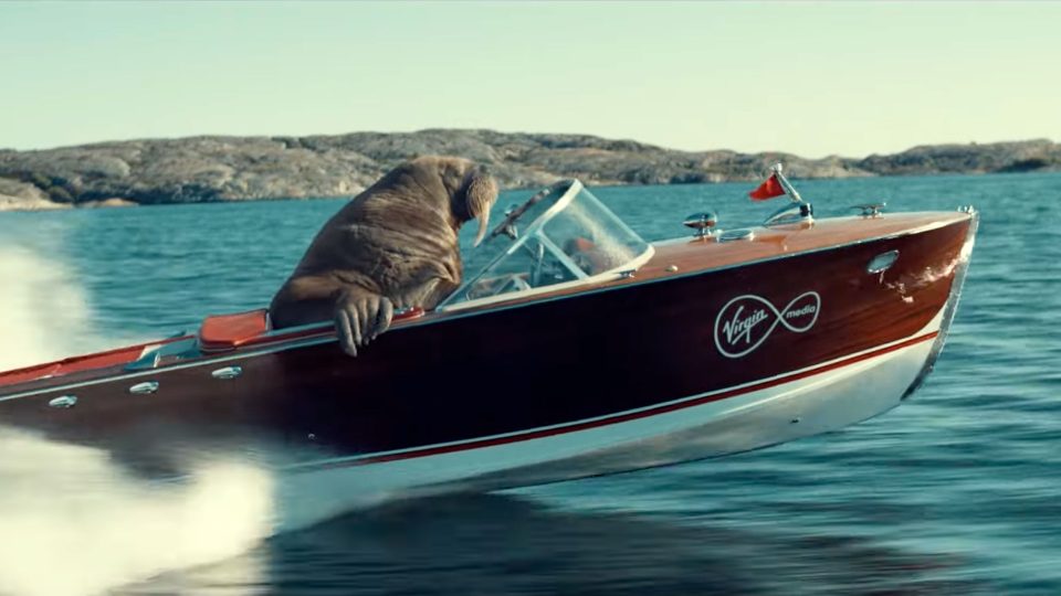 Virgin Media broadband Walrus Whizzer by Untold Studios and Andreas Nilsson | STASH MAGAZINE